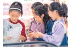 盲卡不可有“盲区”pg电子娱乐平台